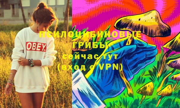 скорость Бронницы