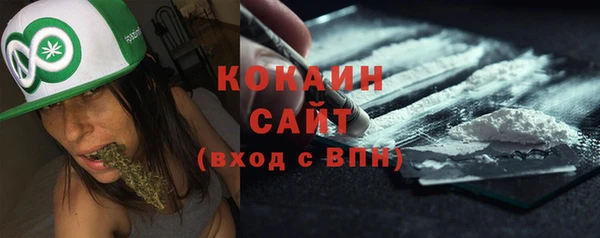 твердый Верхний Тагил