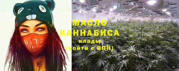 спайс Бородино