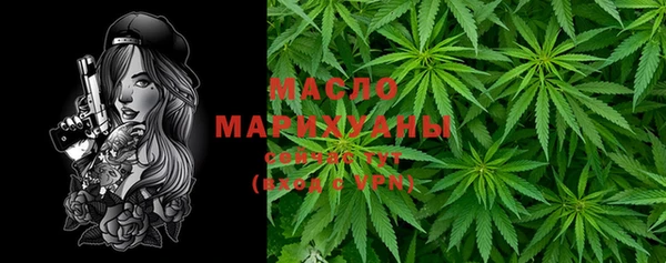 твердый Верхний Тагил