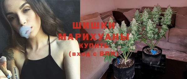 спайс Бородино